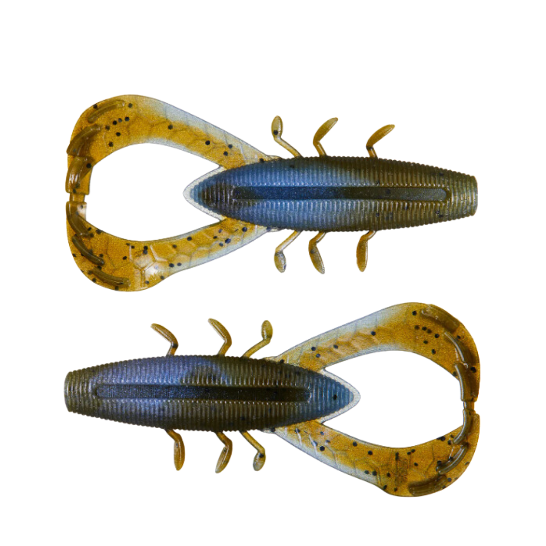 Yamamoto Nuki Bug