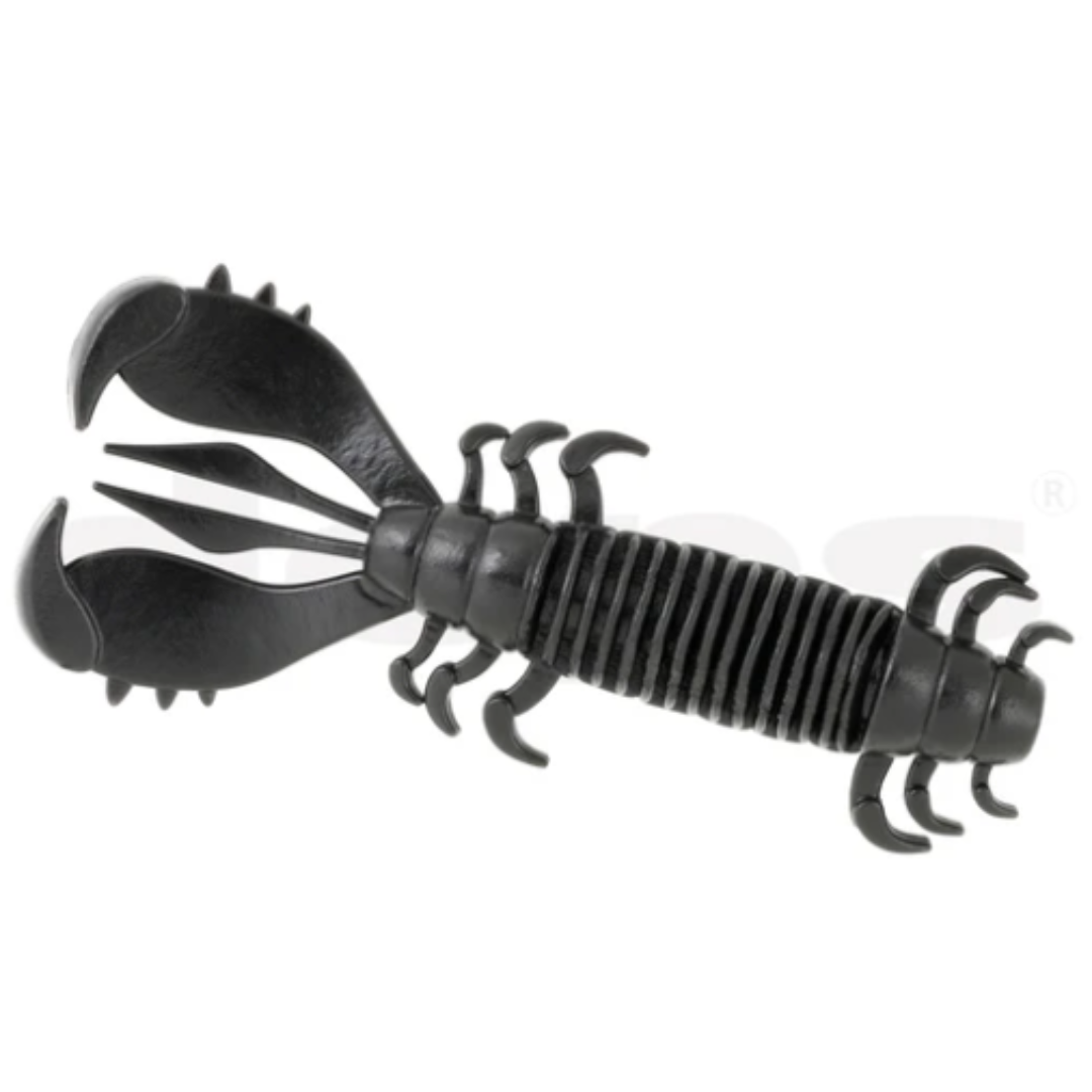 Deps MS Craw
