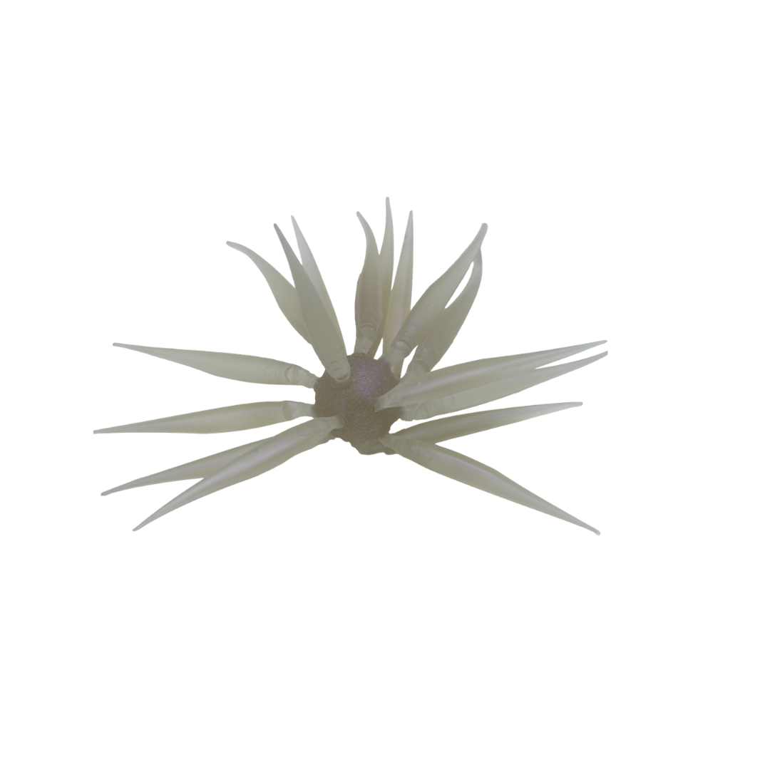 Hideup Coike Fish M Elastomer Creature Bait