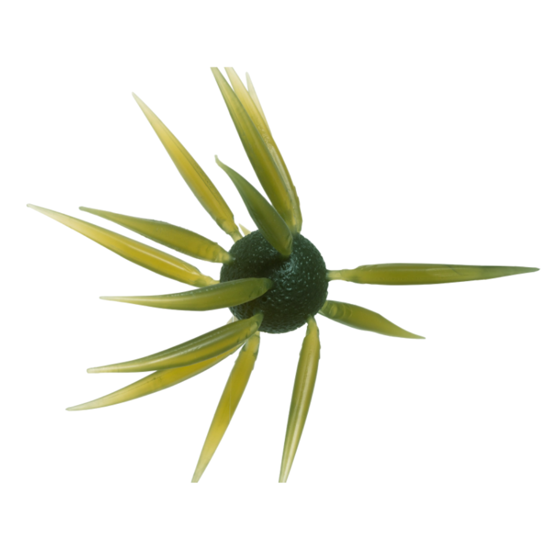 Hideup Coike Fish L Elastomer Creature Bait