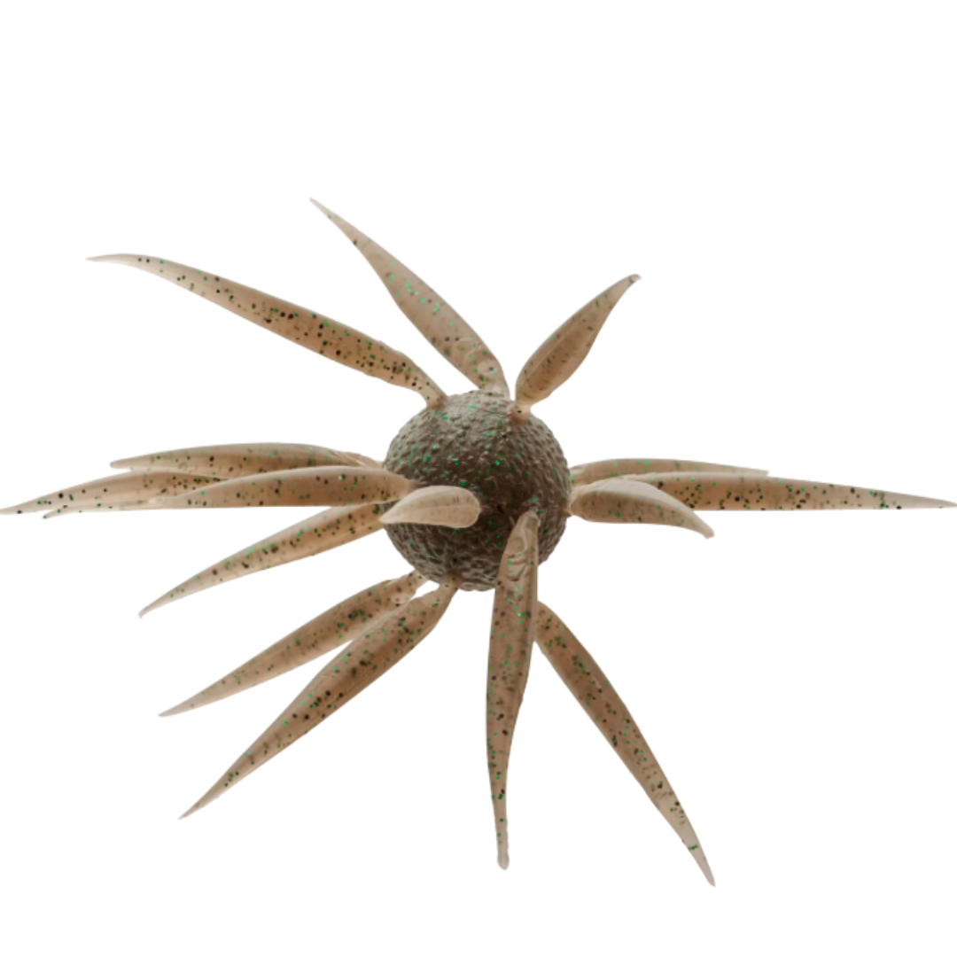 Hideup Coike Fish L Elastomer Creature Bait