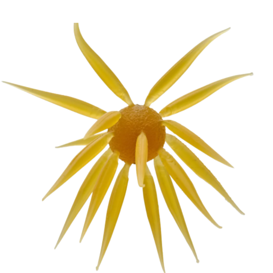 Hideup Coike Fish L Elastomer Creature Bait