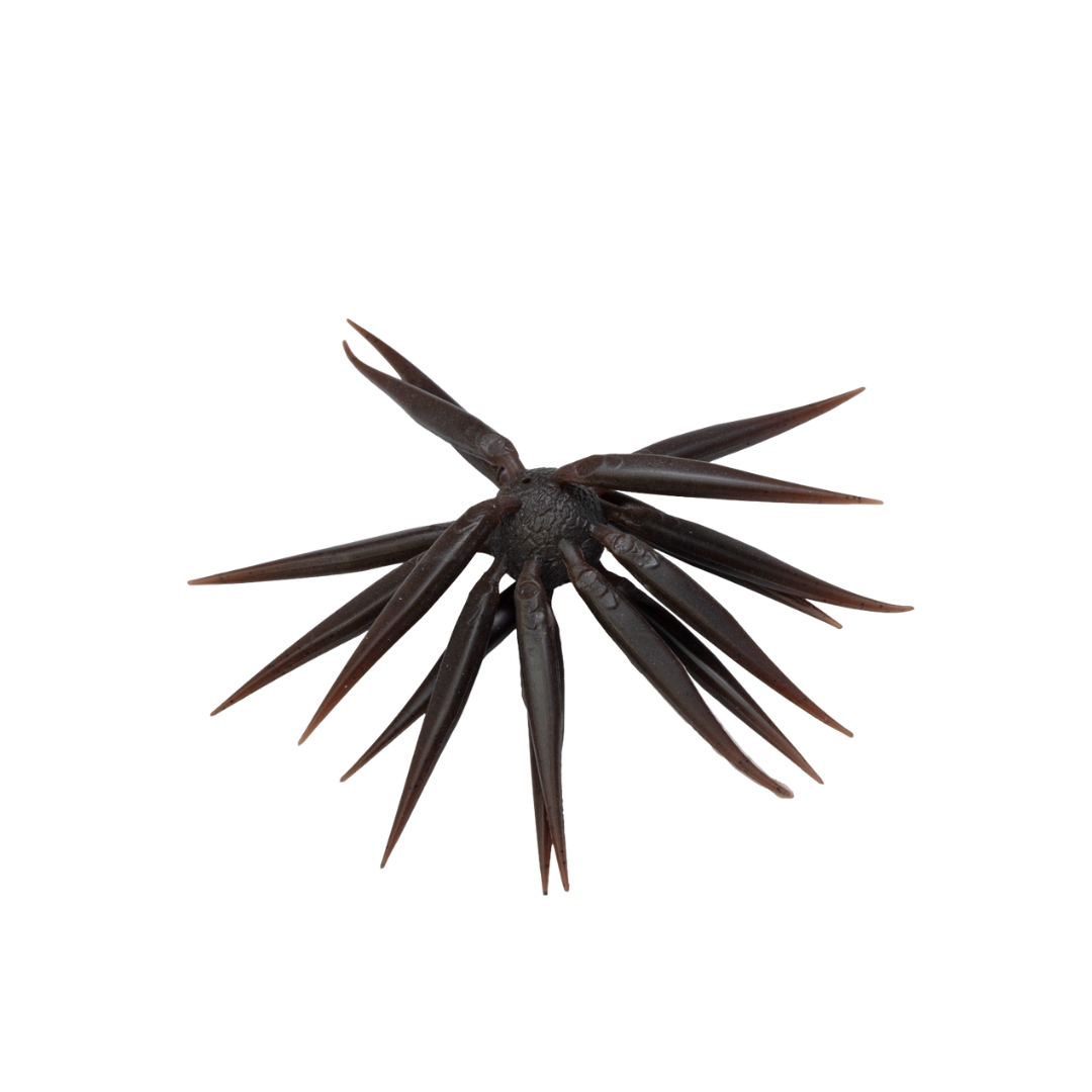 Hideup Coike Fish M Elastomer Creature Bait