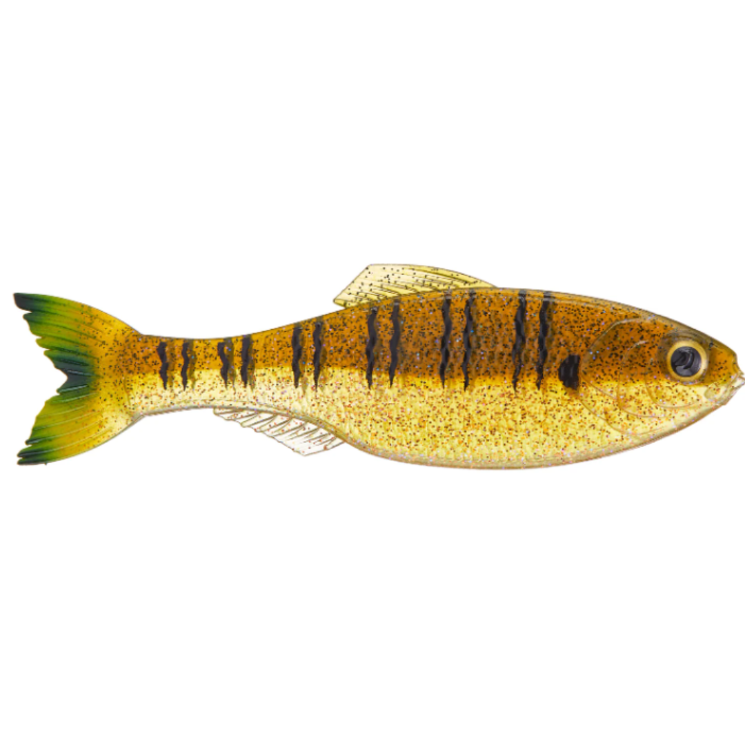 6th Sense Panorama Shad